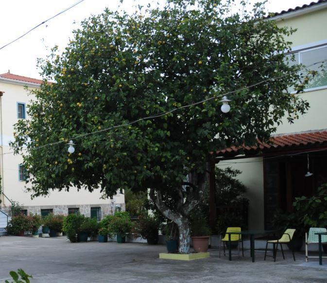 ليونِذيو Costa-Rini Hotel المظهر الخارجي الصورة